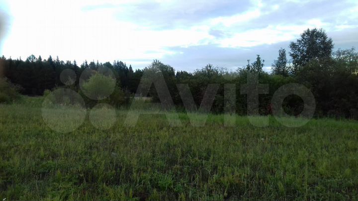 Участок 12 сот. (СНТ, ДНП)