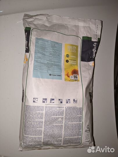 Семена подсолнечник семечка сузука