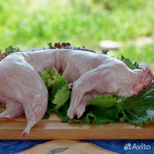 Тушка кролика