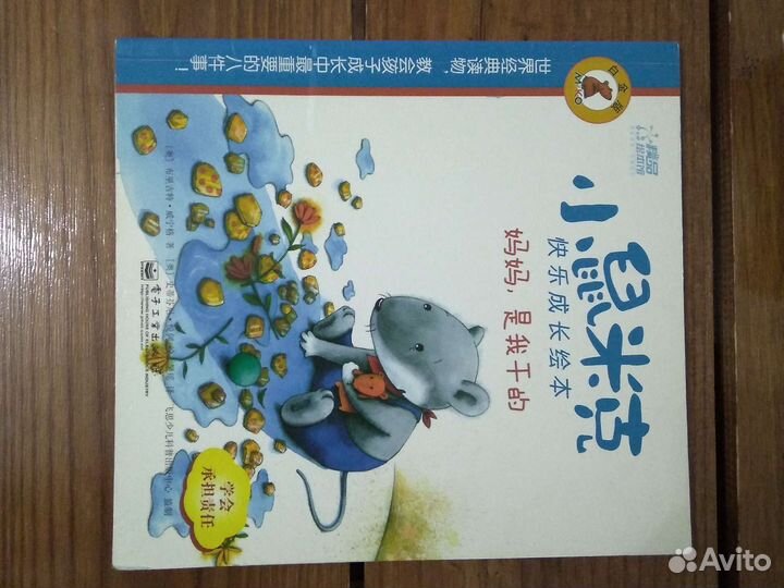 Книга на китайском