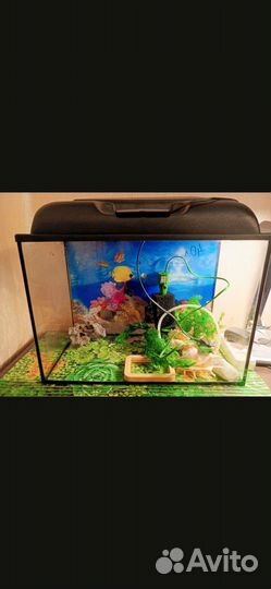 Аквариум