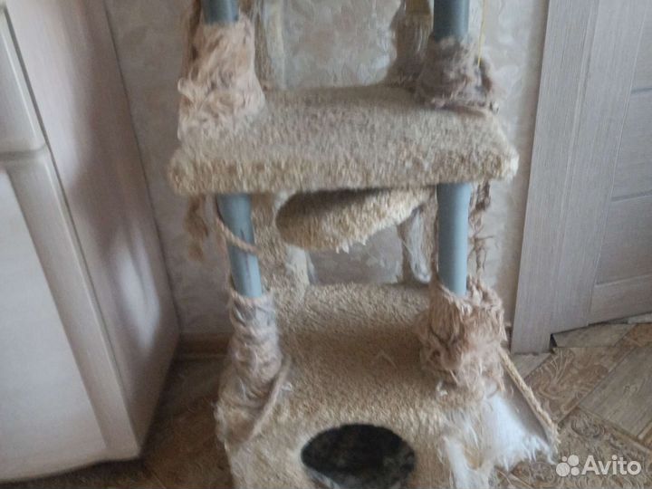 Домик для кошки бу