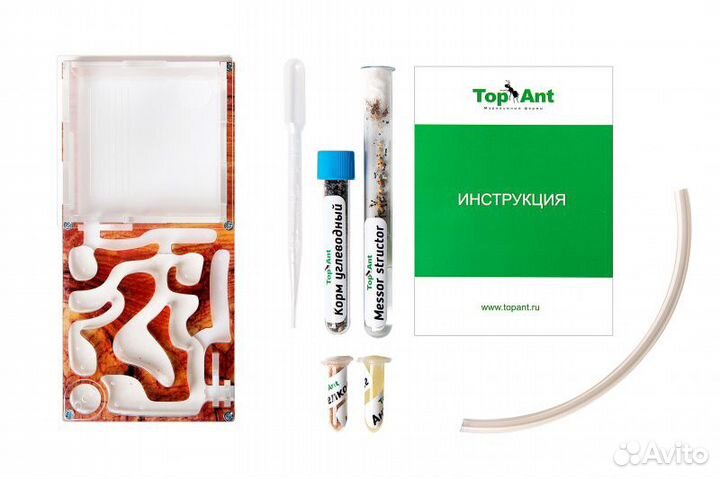 Малая муравьиная ферма (Дерево)