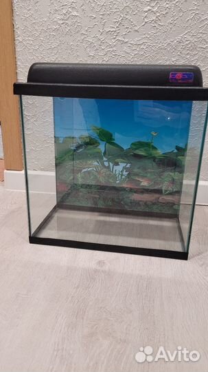 Аквариум 30 литров