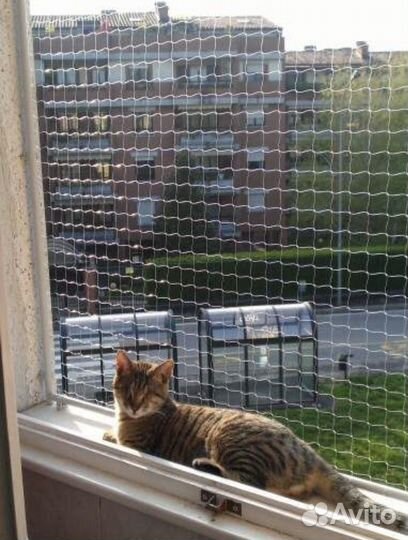 Балкон сетка для кошек