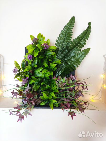 Искусственная фитокартина. Картина из зелени