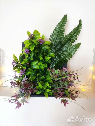 Искусственная фитокартина. Картина из зелени