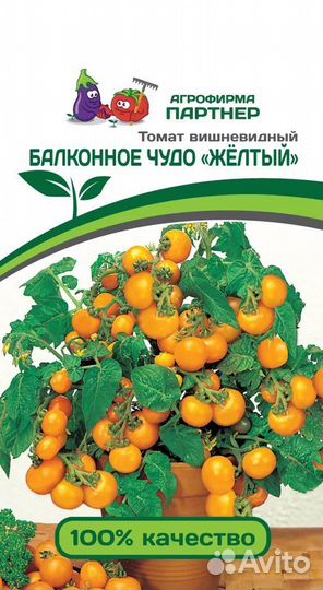 Рассада черри Балконное чудо