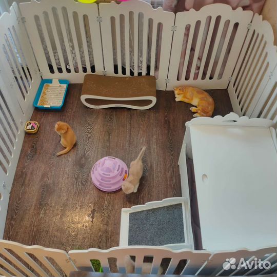 Вольер для домашних животных