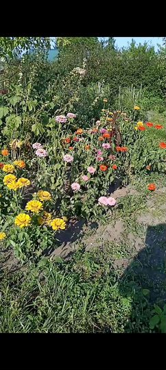 Дом 15 м² на участке 6 сот.