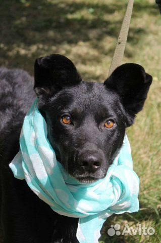 Грант веселый позитивный парень,забери меня