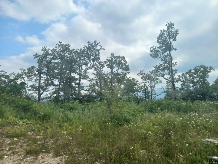 Участок 31 сот. (ИЖС)