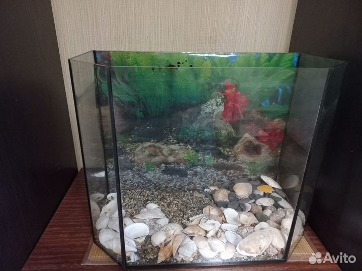 Аквариум