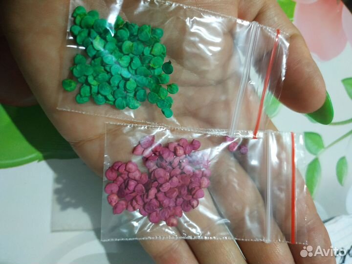Семена сладкого перца
