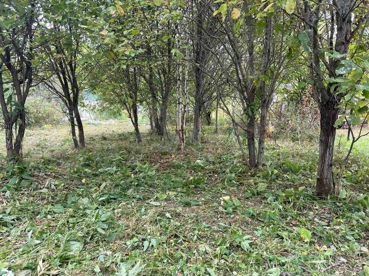 Участок 6 га (СНТ, ДНП)