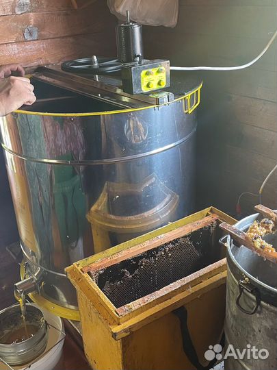 Мед сбор 2024