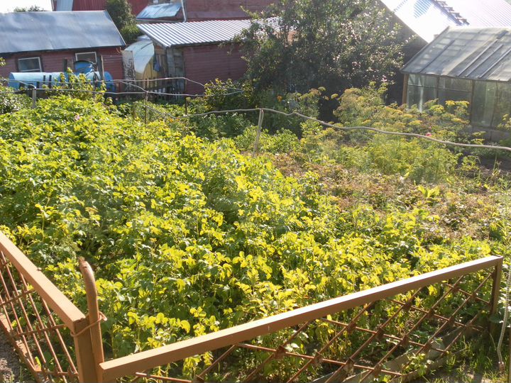 Дом 45 м² на участке 4 сот.