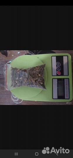 Лечебная трава Саган Дайля