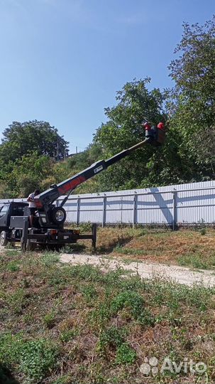 Благоустройство участка. Спил. Вывоз