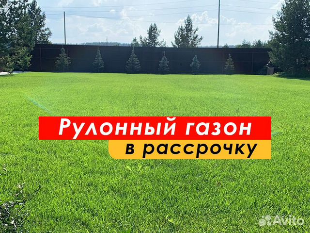 Рулонный газон оптом купить в Волгограде | Товары для дома и дачи | Авито