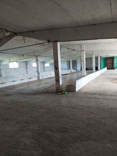 Помещение свободного назначения, 1650 м²