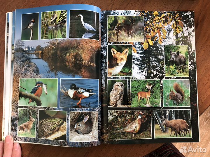 Chateaux de la loire. Замки Луары