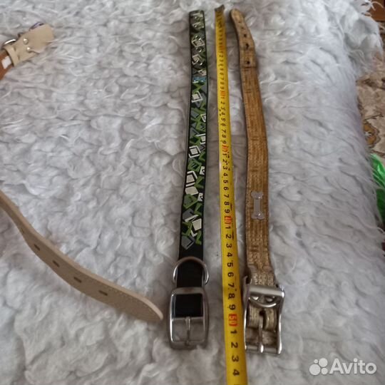 Ошейник для собак