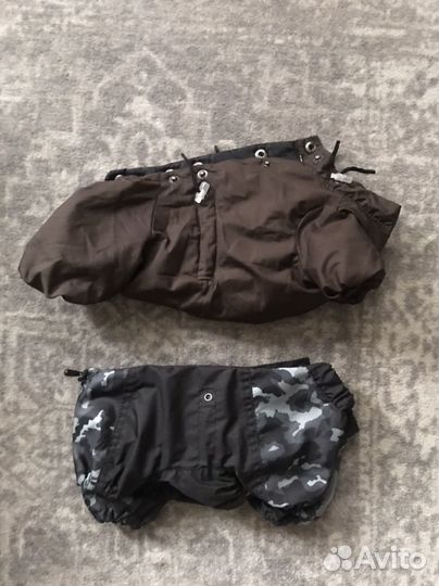 Комбинезон для маленькой собаки мальчик