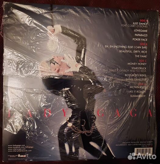 Виниловые пластинки Lady Gaga (2пластинки)