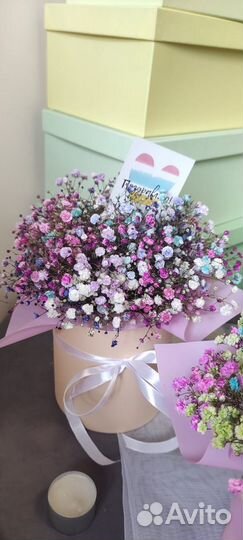 Живые цветы букеты композиции из цветной гипсофилы