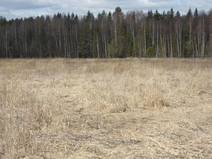 Участок 13,28 га (СНТ, ДНП)