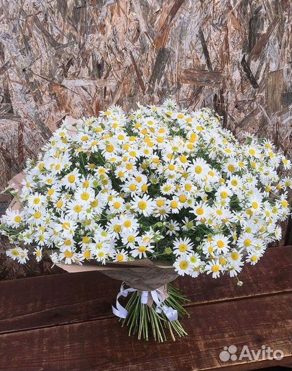 Цветы ромашки. Букеты ромашек. Цветы доставка