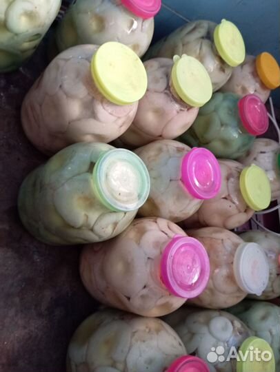 Грибы грузди соленые