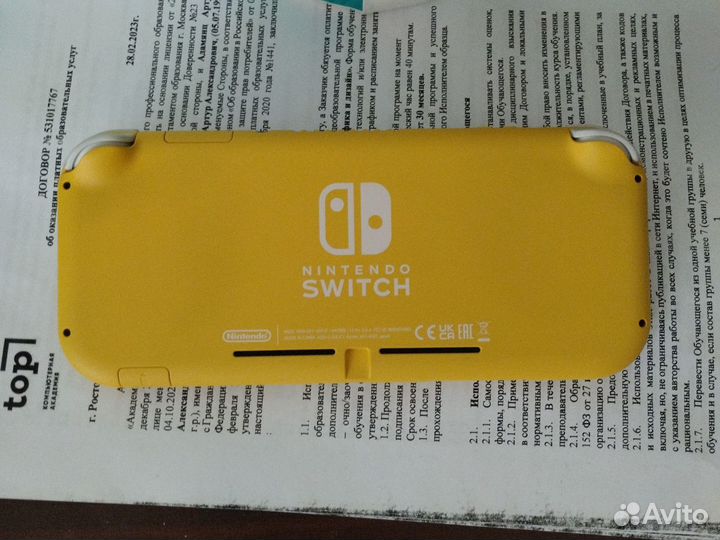 Nintendo switch lite