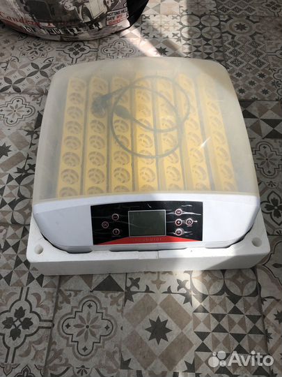 Инкубатор автоматический