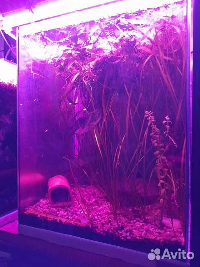 Стойка с 5 аквариумами