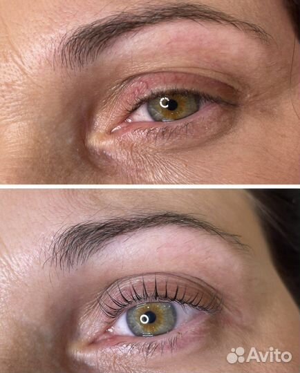 Мастер бровист