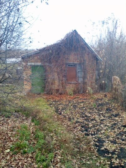 Участок 10 сот. (СНТ, ДНП)