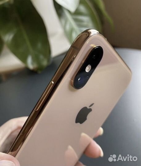 iPhone Xs, 512 ГБ