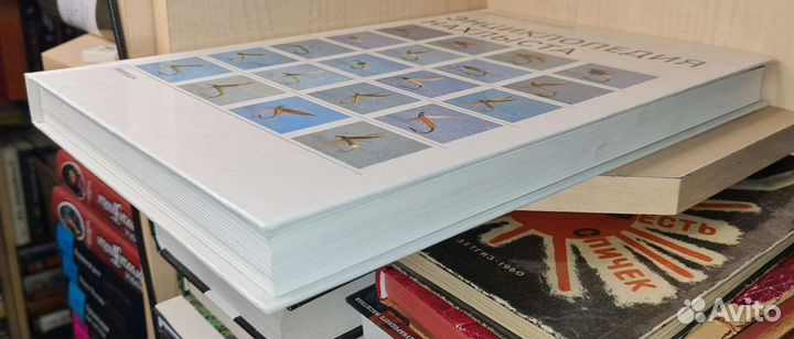 Курноцик Милан. Энциклопедия нахлыста.Пер.со слов