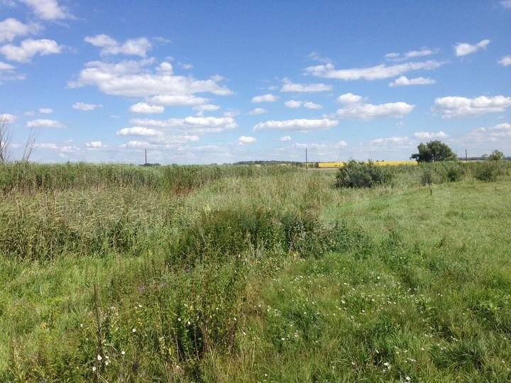 Участок 15 сот. (ИЖС)