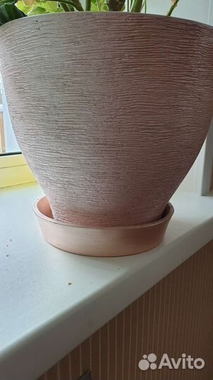 Цветы большие с горшками керамическими