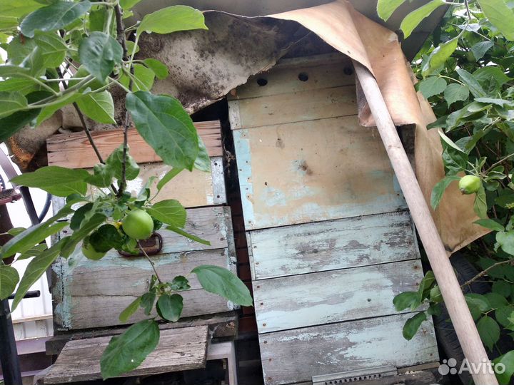 Ульи для пчел и рамки