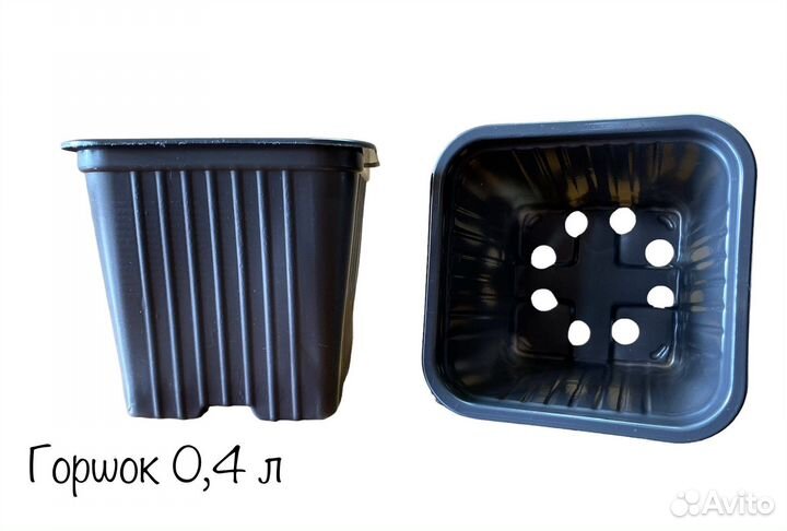 Горшки для рассады