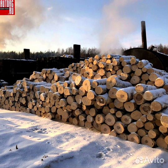 Береза уголь 5 кг Розница/Опт