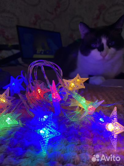 Гирлянда цветная