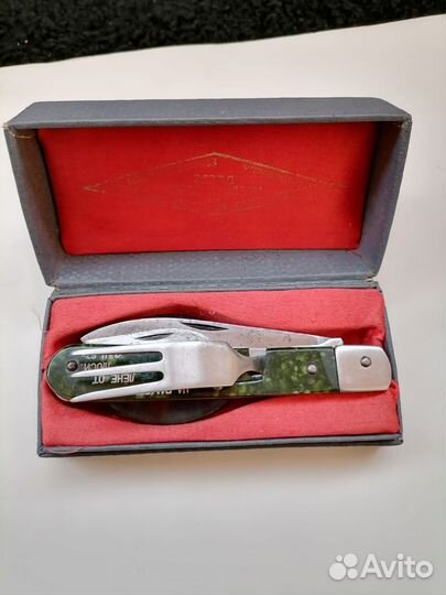 Стиз ложковил