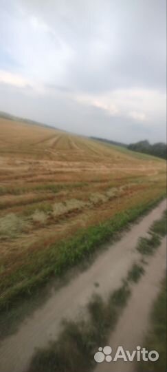 Сено солома в рулона