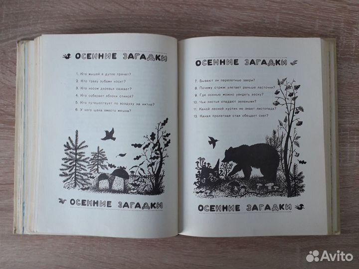 Н. Надеждина Моревизор уходит в плавание