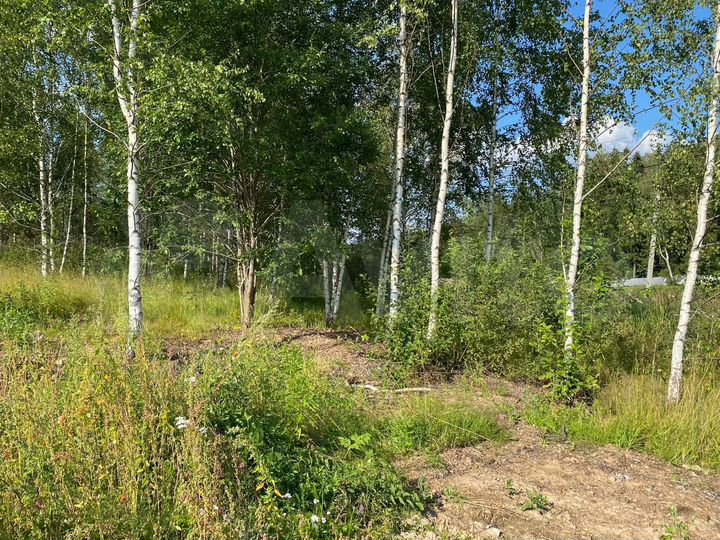 Участок 8,3 сот. (СНТ, ДНП)